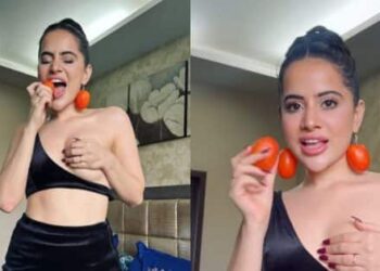 Urfi Javed wore such a dress that she had to hide her body with her hands, earrings made of tomatoes attracted attention