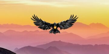 Crypto Raven: Leading the Charge in DeFi Innovation