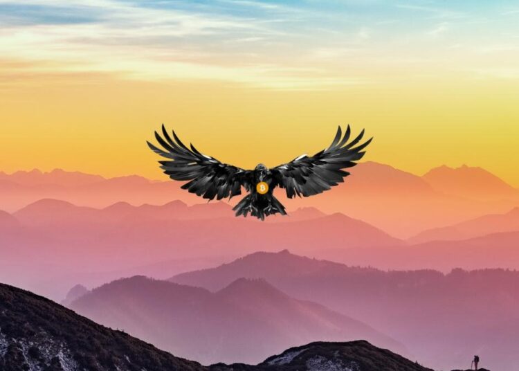 Crypto Raven: Leading the Charge in DeFi Innovation 11 Crypto Raven: Leading the Charge in DeFi Innovation