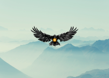 Crypto Raven: Ascending as a Premier Name in the Crypto Universe 14 Crypto Raven: Ascending as a Premier Name in the Crypto Universe