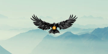 Crypto Raven: Ascending as a Premier Name in the Crypto Universe