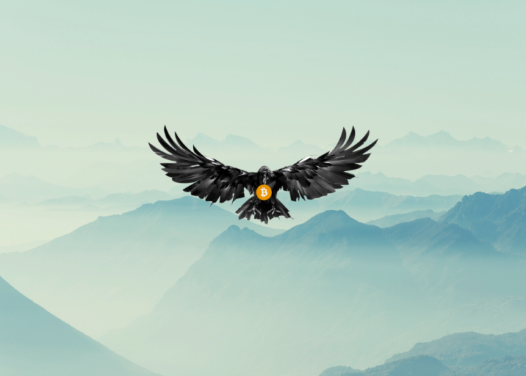 Crypto Raven: Ascending as a Premier Name in the Crypto Universe 11 Crypto Raven: Ascending as a Premier Name in the Crypto Universe
