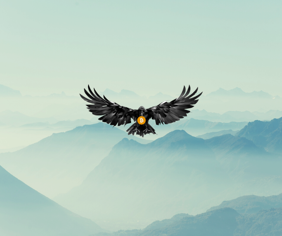 Crytpo Raven Defi Expert Organization Logo